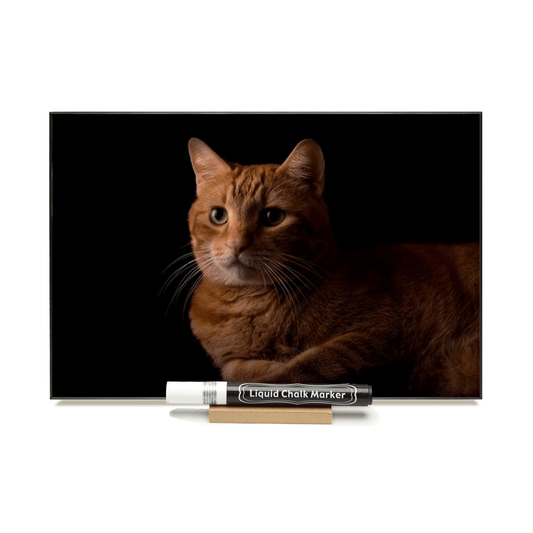"Orange Tabby"  PHOTO CHALKBOARD  Includes Chalkboard, Chalk Marker and Stand