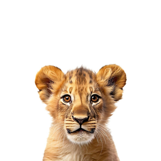 Baby Zoo Animals - Lion