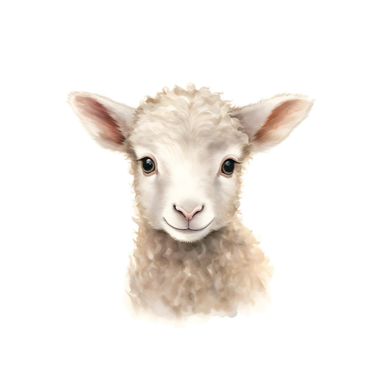 Baby Farm Animals - Lamb