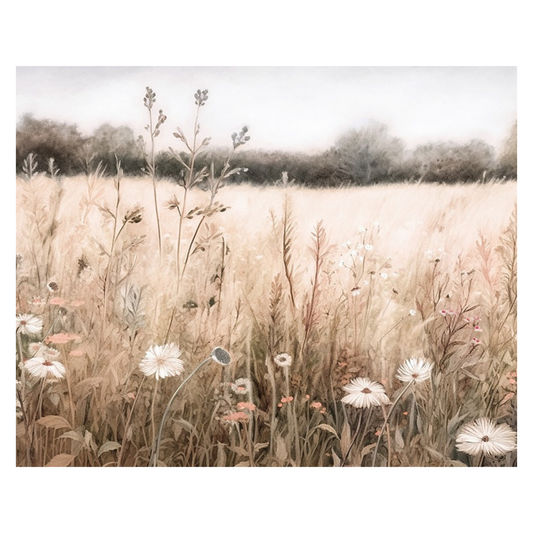 Spring - Meadow