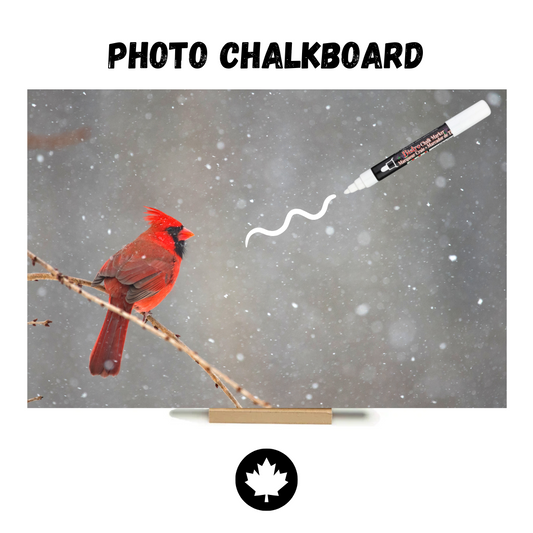 "Cardinal"  PHOTO CHALKBOARD  Includes Chalkboard, Chalk Marker & Stand