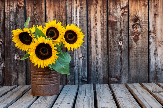 "Sunflowers on Barnboard" Flexible Fridge Magnet, including the marker
