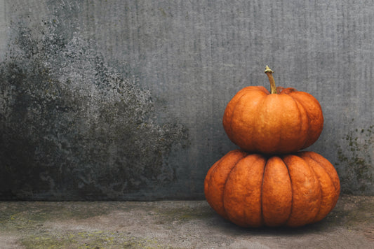 "Two Stacked Pumpkins"  PHOTO CHALKBOARD Includes Chalkboard, Chalk Marker & Stand