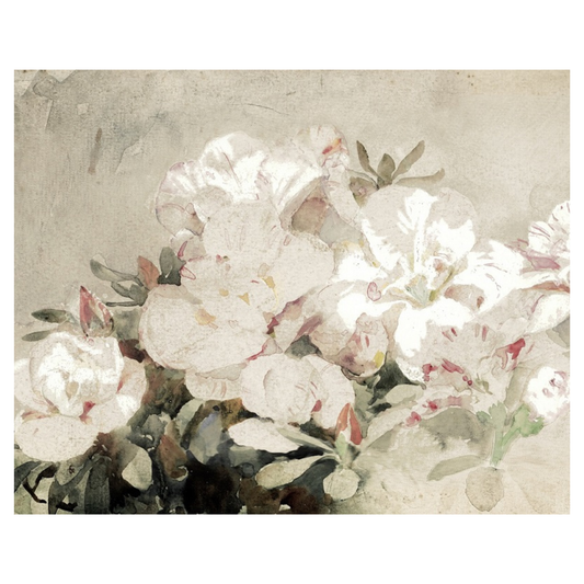 Floral - Spring Blossoms