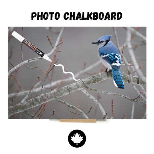 "Blue Jay"  PHOTO CHALKBOARD  Includes Chalkboard, Chalk Marker & Stand